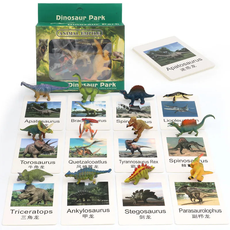 Montessori life cycle le cycle de vie English Placa De Video Frog Butterfly Seeds Cyclus Bij Ant teaching aids Educationals Toys - Thrive & Baby