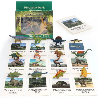 Montessori life cycle le cycle de vie English Placa De Video Frog Butterfly Seeds Cyclus Bij Ant teaching aids Educationals Toys - Thrive & Baby