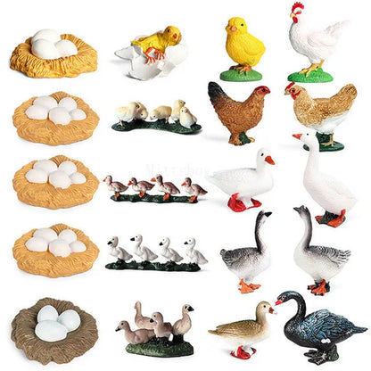 Montessori life cycle le cycle de vie English Placa De Video Frog Butterfly Seeds Cyclus Bij Ant teaching aids Educationals Toys - Thrive & Baby