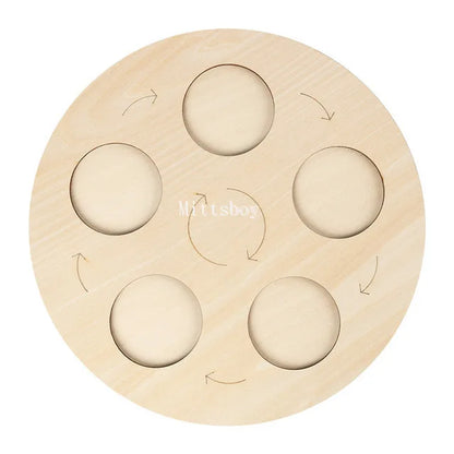 Montessori life cycle le cycle de vie English Placa De Video Frog Butterfly Seeds Cyclus Bij Ant teaching aids Educationals Toys - Thrive & Baby